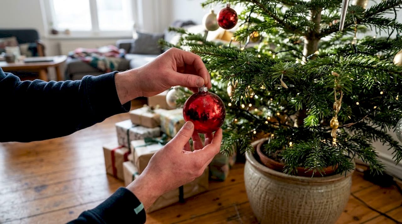 Een hand hangt een rode glazen kerstbal in de boom.