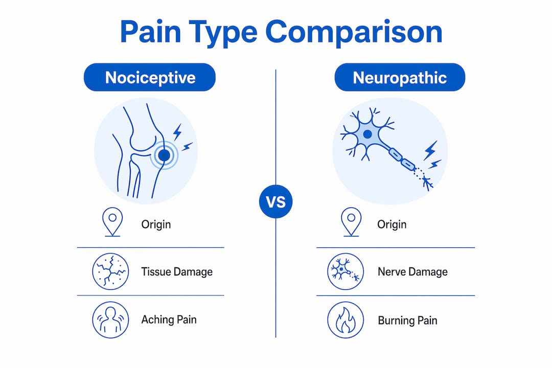 Infographic showing comparison of nociceptive and neuropathic pain