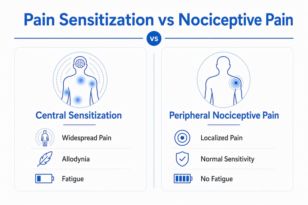 Infographic comparing pain sensitization and nociceptive pain