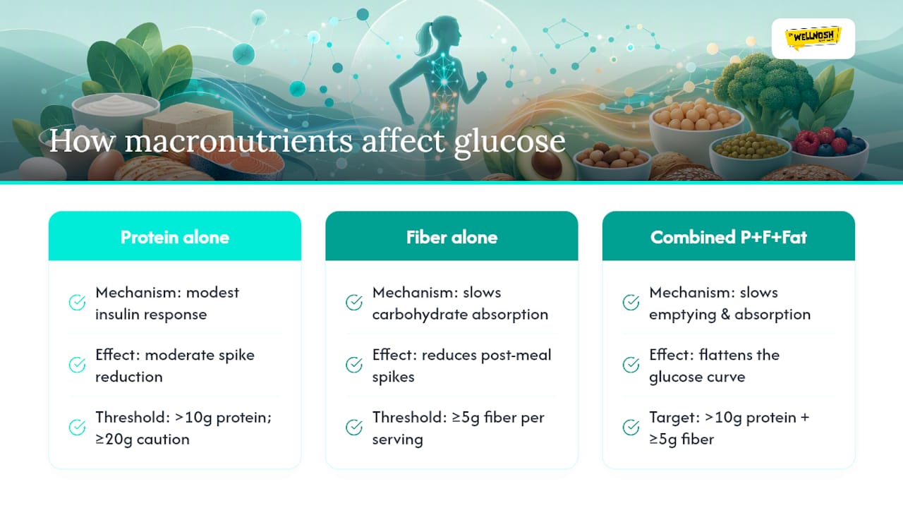Diagram illustrating macronutrient effects on blood sugar