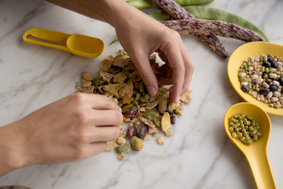 Close-up of hands inspecting bean chip pieces