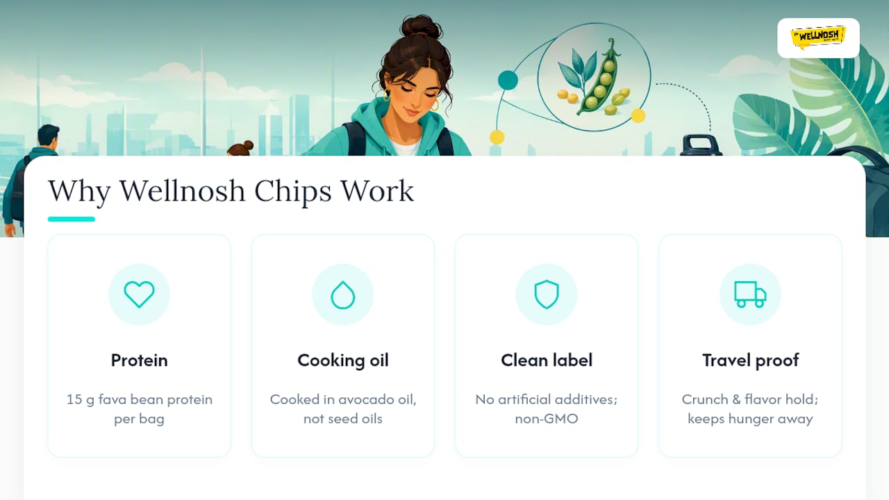 Why Wellnosh Chips Hold Up as a Travel Snack — overview diagram