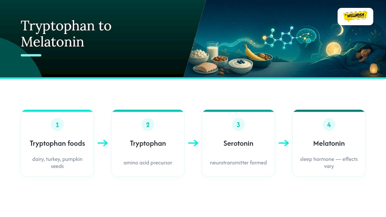 Tryptophan pathway from foods to melatonin