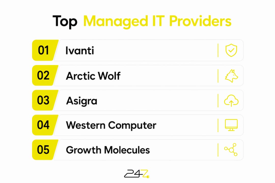 Infographic showing ranked IT providers list