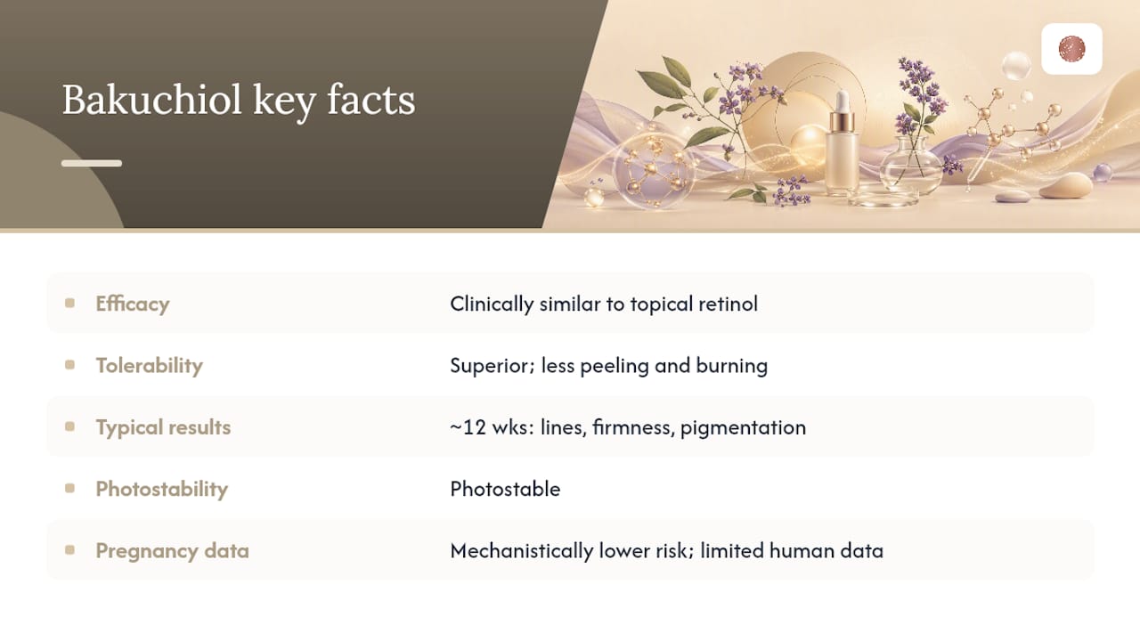 What does bakuchiol actually do for your skin, and is it safe? — overview diagram