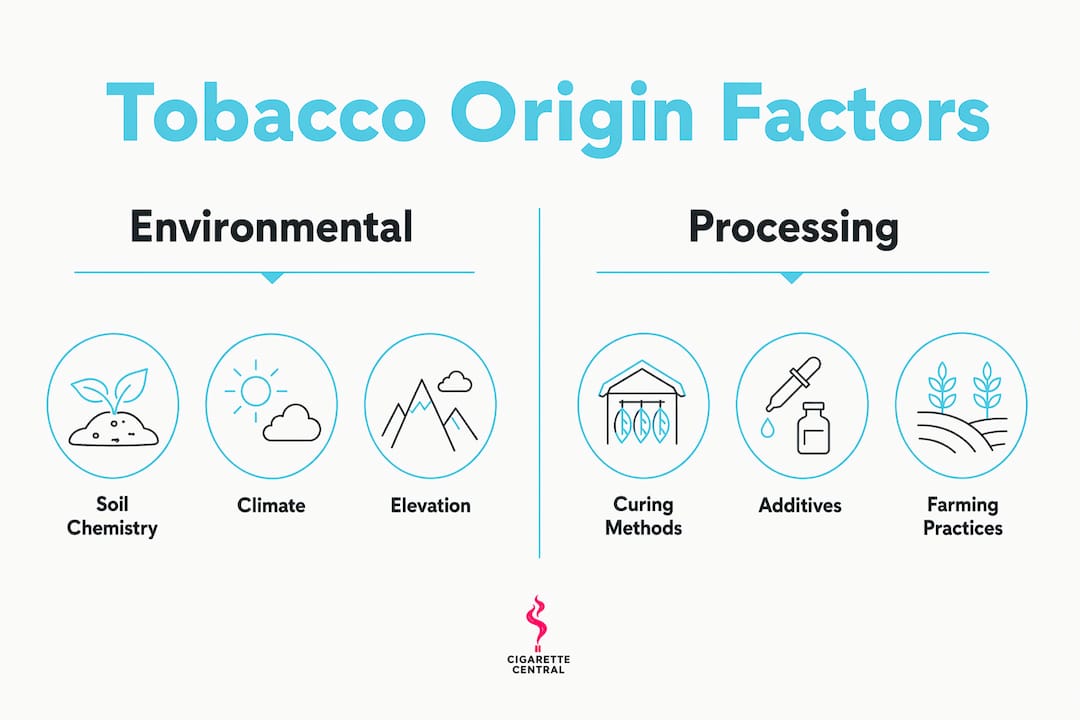 Infographic comparing environmental and processing factors of tobacco origin flavor