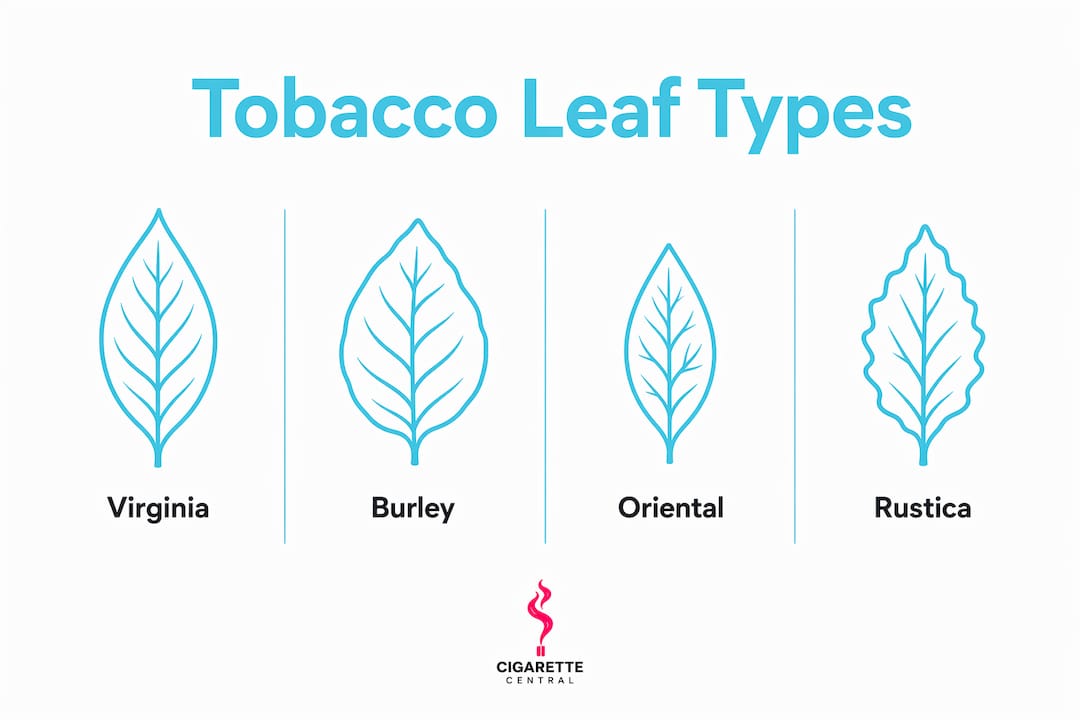 Infographic showing hierarchy of tobacco leaf types