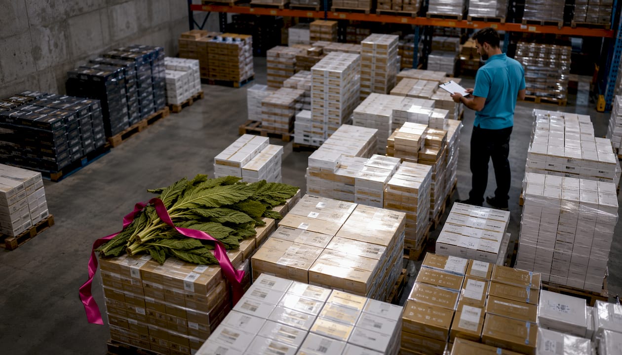 Warehouse pallets with premium cigarette cartons stacked