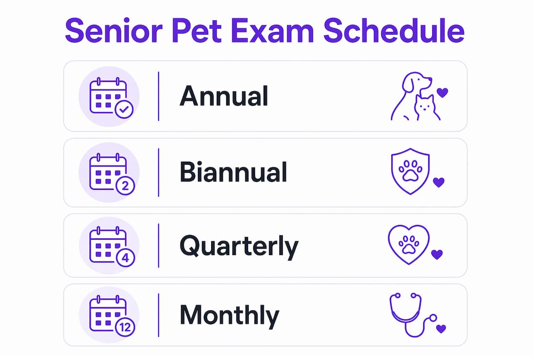 Infographic showing senior pet wellness exam schedule steps