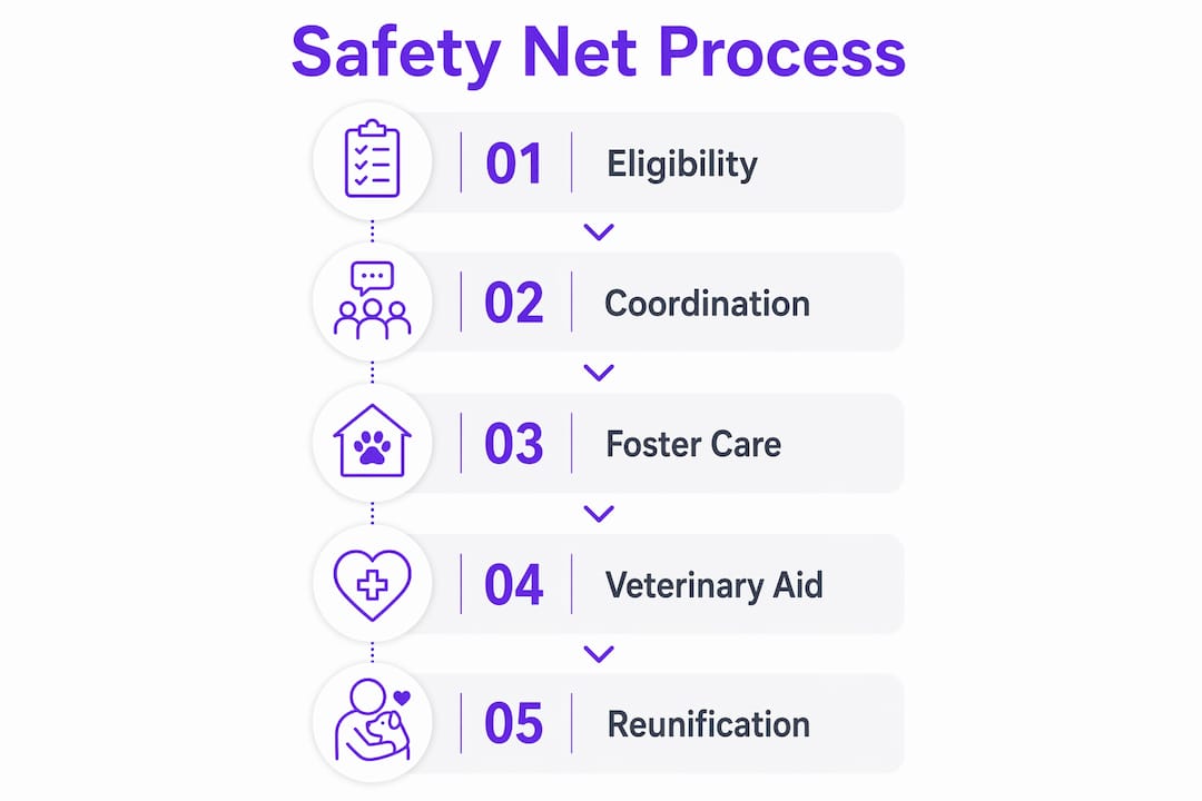 Infographic showing pet welfare safety net process steps