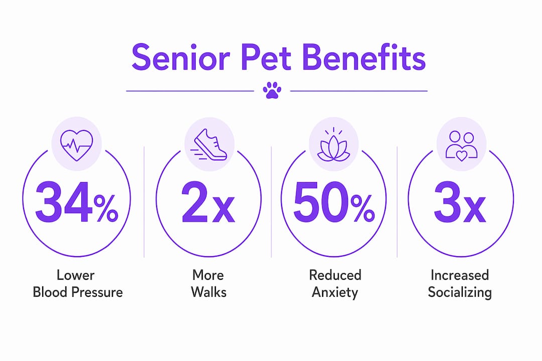 Infographic showing senior pet companionship health benefits