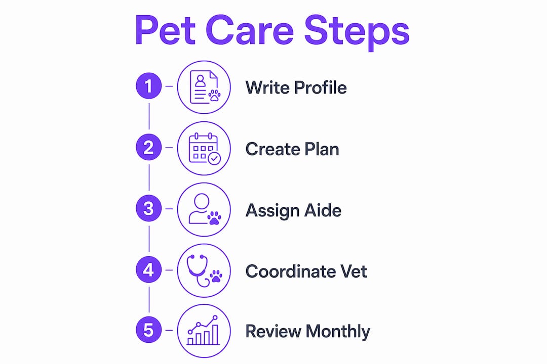 Infographic illustrating pet care integration steps