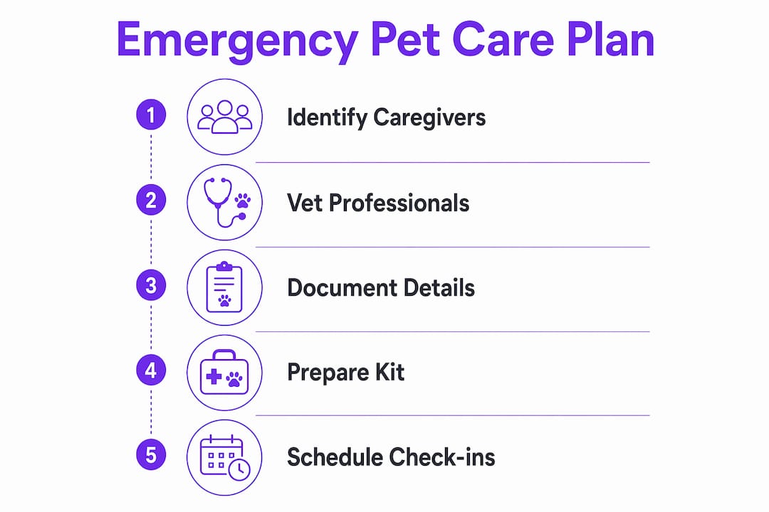 Infographic illustrating emergency pet care planning steps