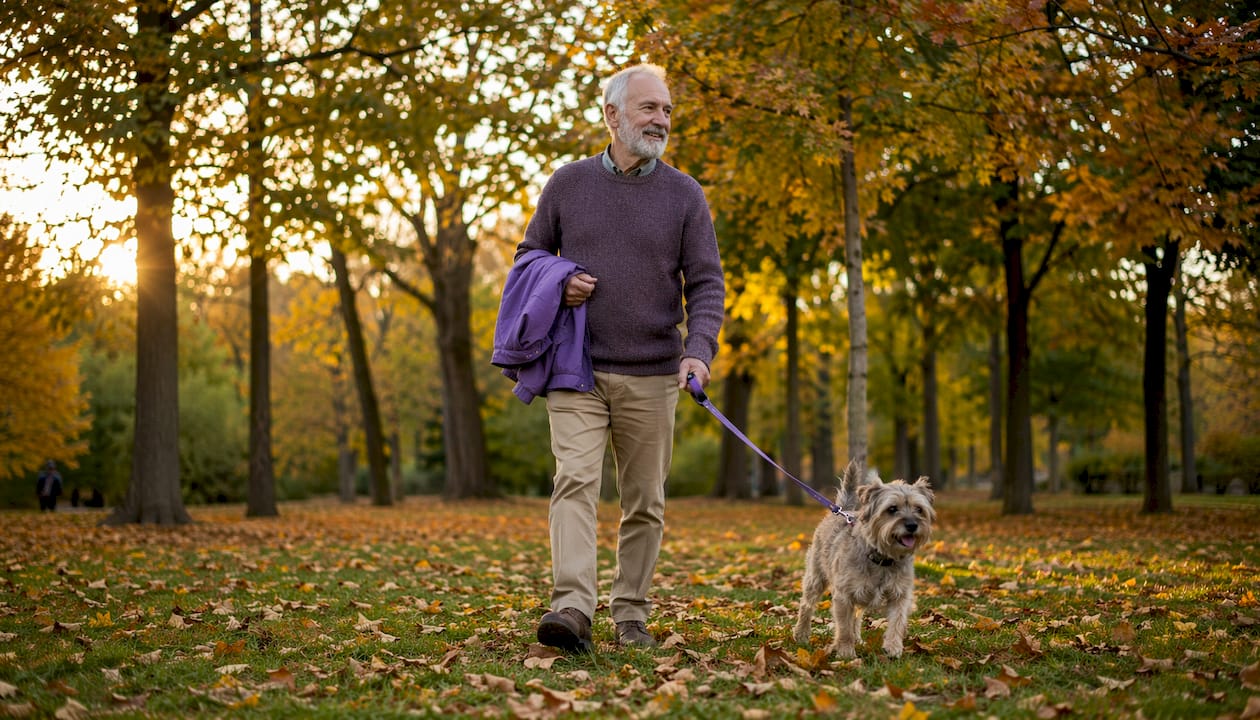 Senior man walking dog in leafy suburb