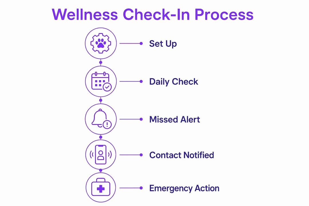 Infographic illustrating the wellness check-in system process