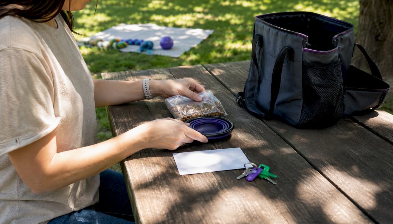 Hands arranging emergency pet care items on table