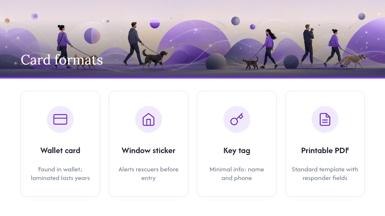 Comparison diagram of pet information card formats