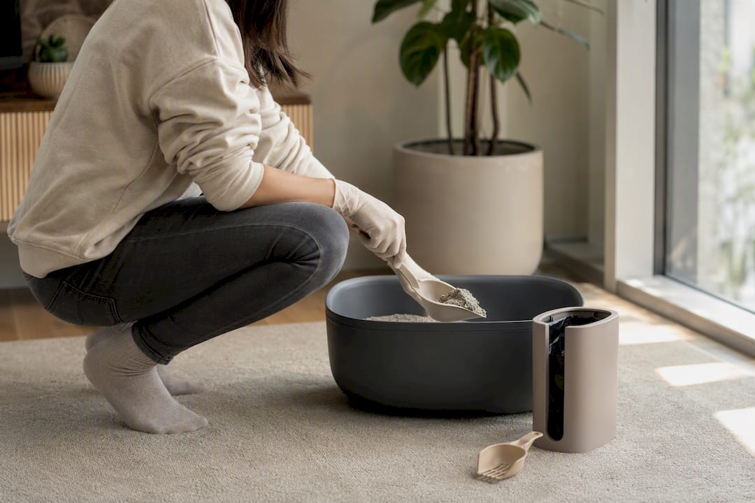Hands scooping cat litter from box