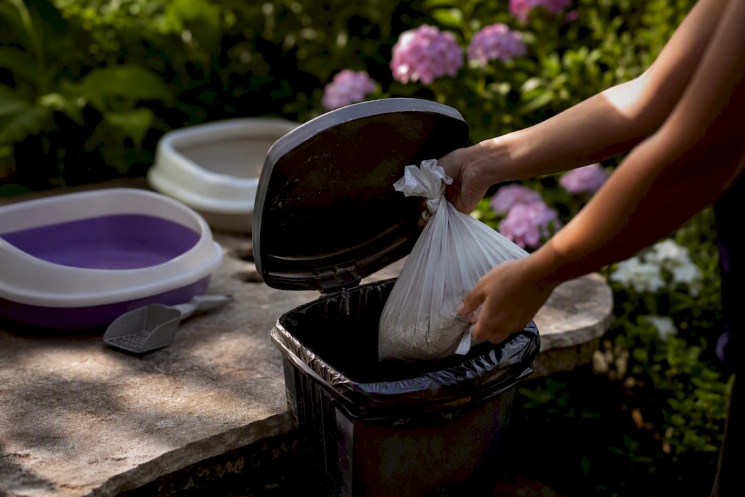 Hands disposing bagged used cat litter outside