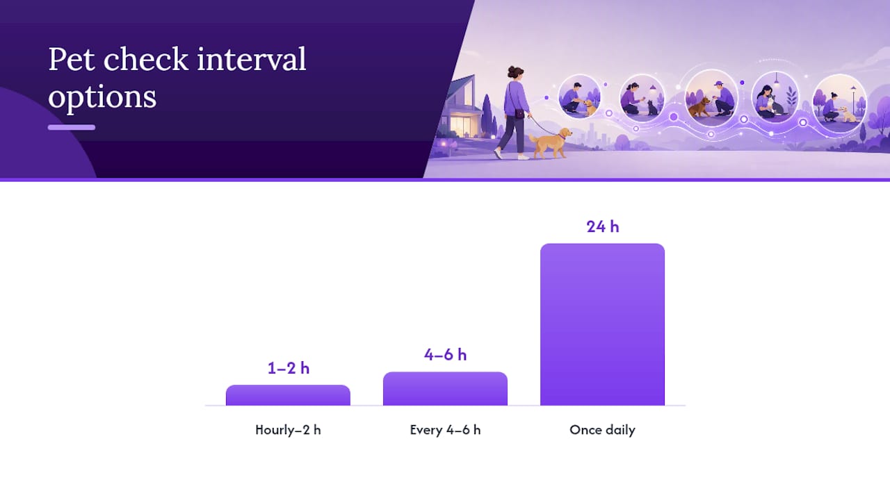 How Do You Choose the Right Pet Check-In Schedule? — overview diagram