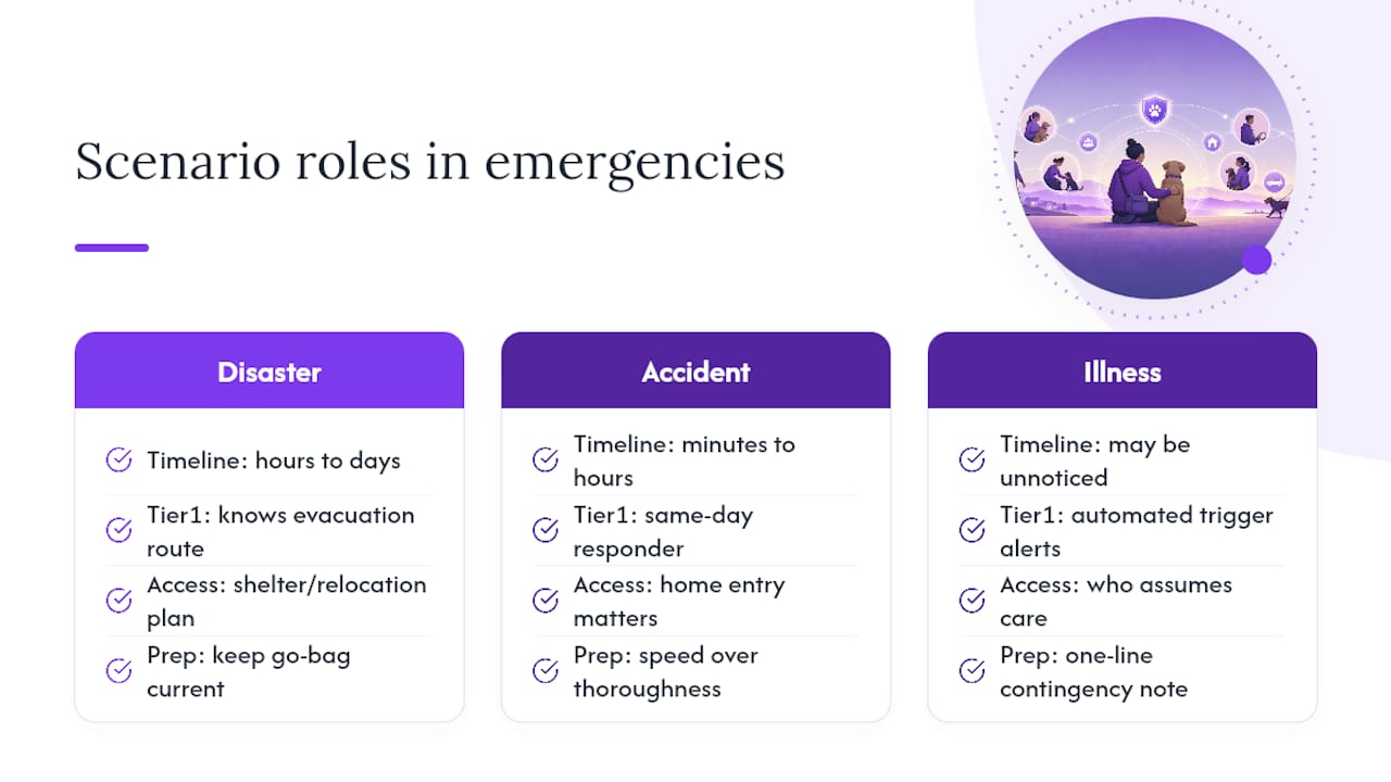 Planning for Disasters, Accidents, and Sudden Illness — overview diagram