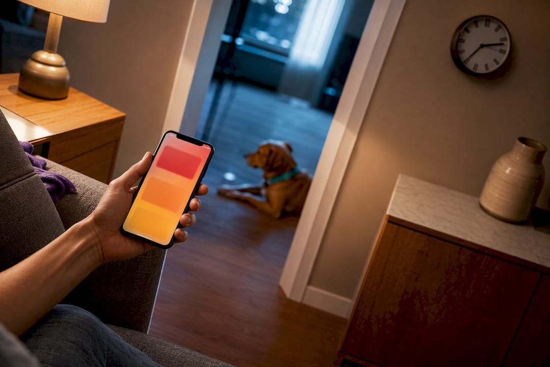 Pet owner reviewing an emergency alert beside dog