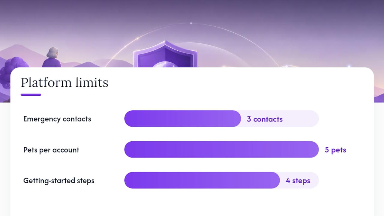 How Does MyPetsSafetyNet Turn This Plan Into an Automated Service? — overview diagram