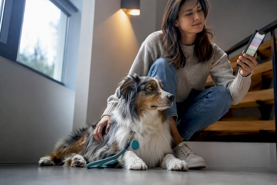 Pet owner arranging emergency sitter access