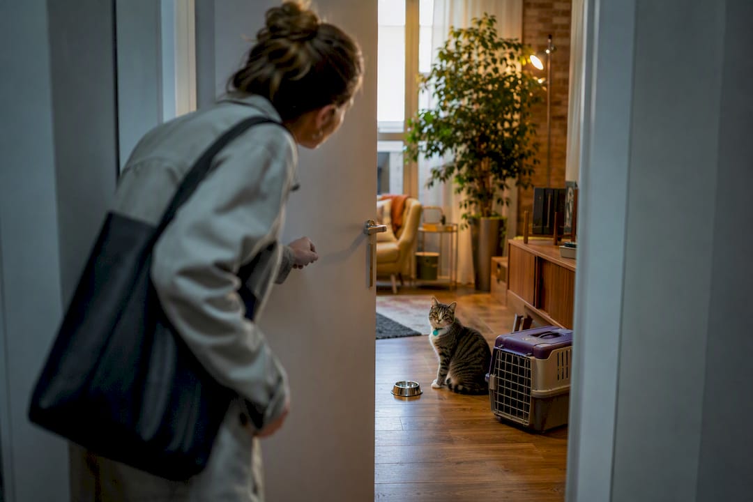Caregiver entering home to check pet