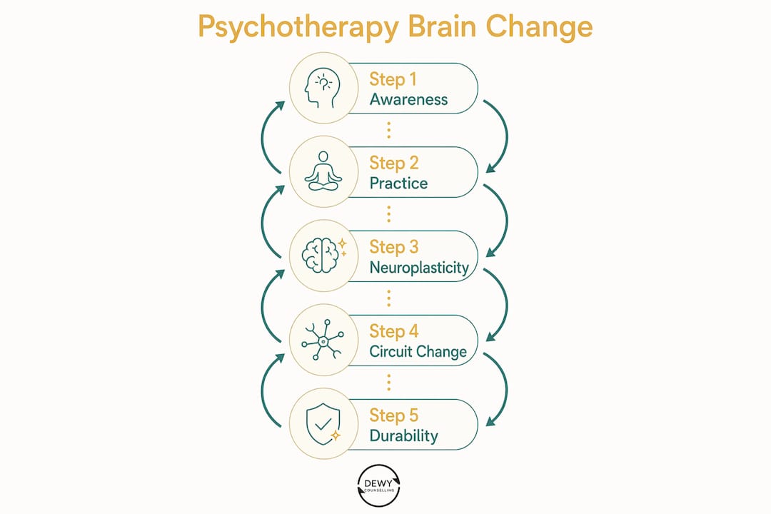 Infographic showing psychotherapy brain change steps