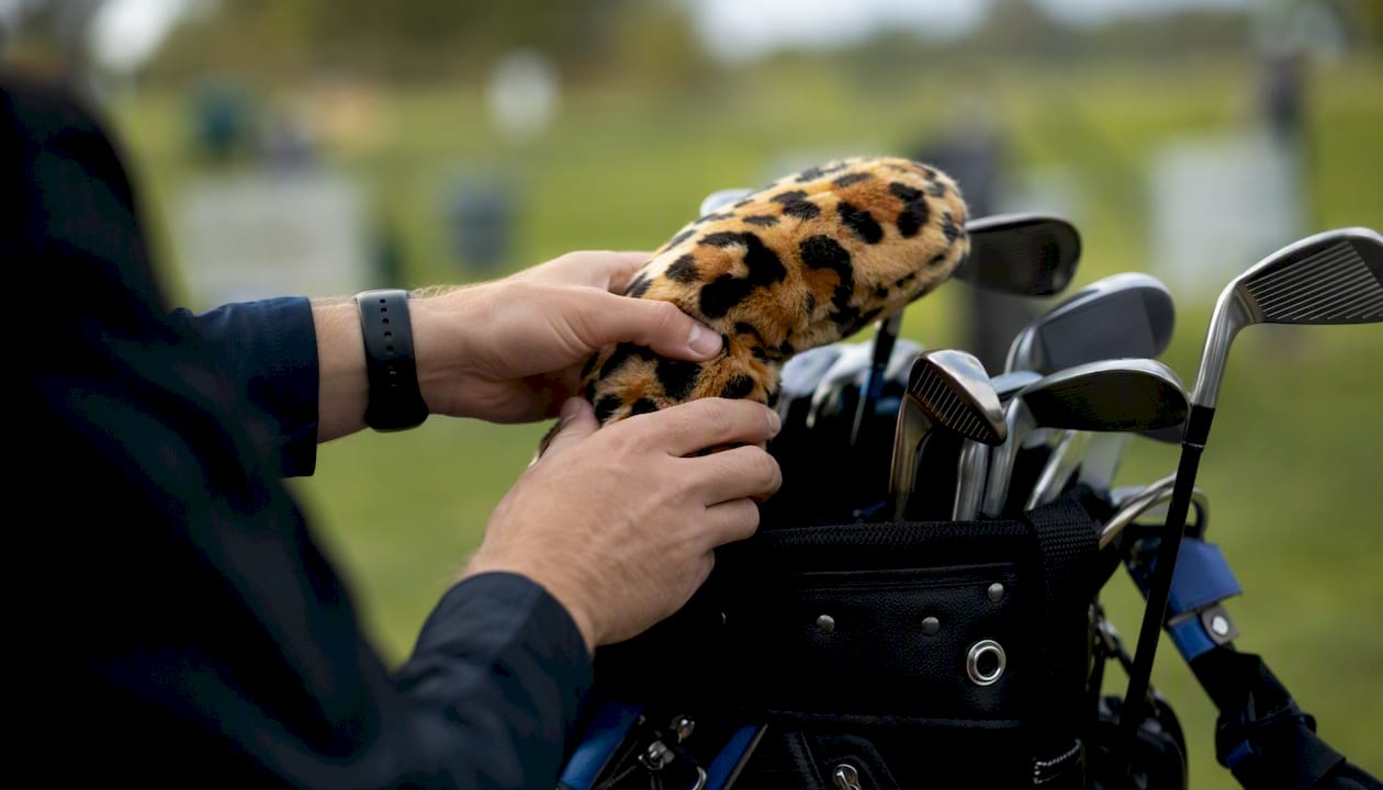 Hands selecting tiger-patterned golf headcover