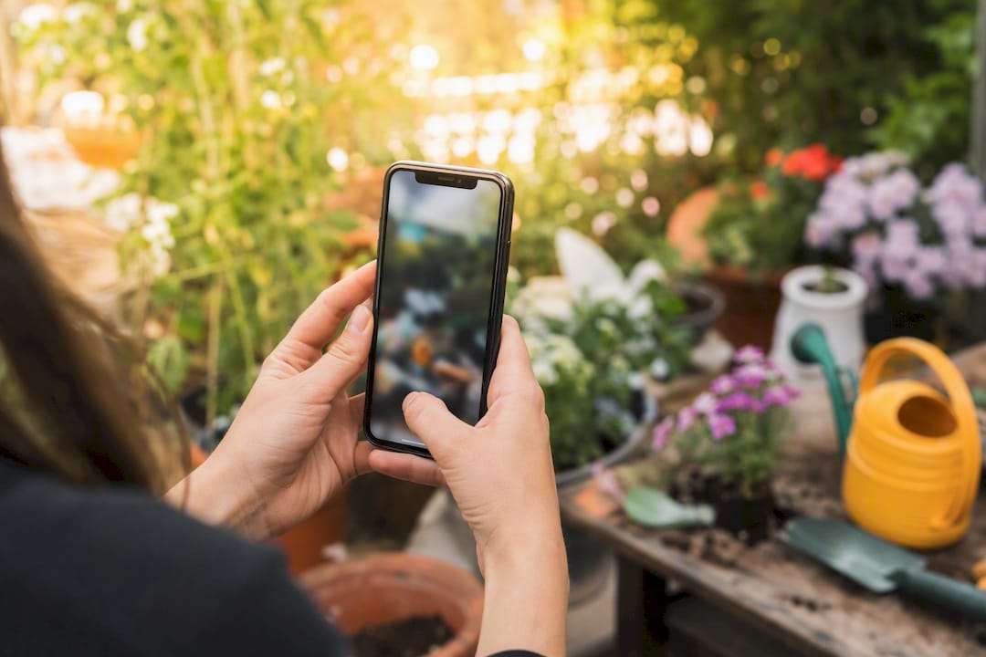 Hands filming content on smartphone camera