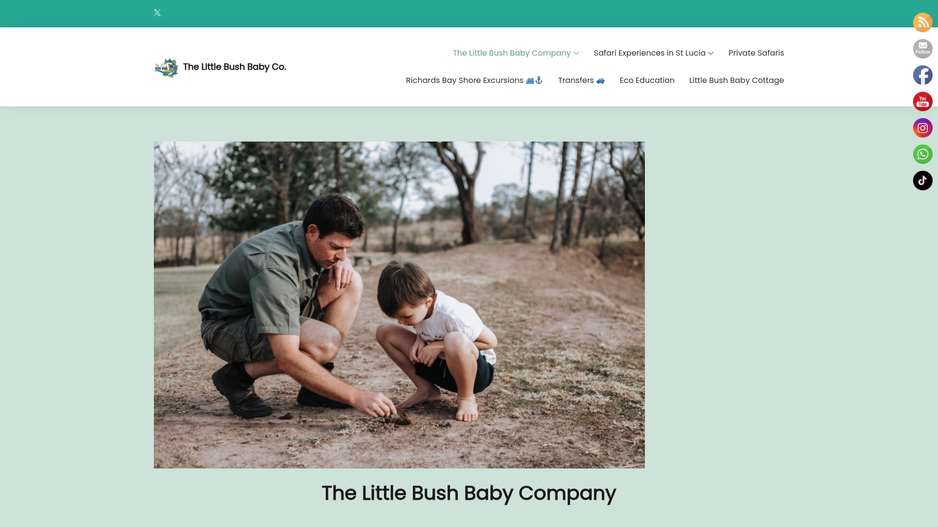 https://thelittlebushbaby.com