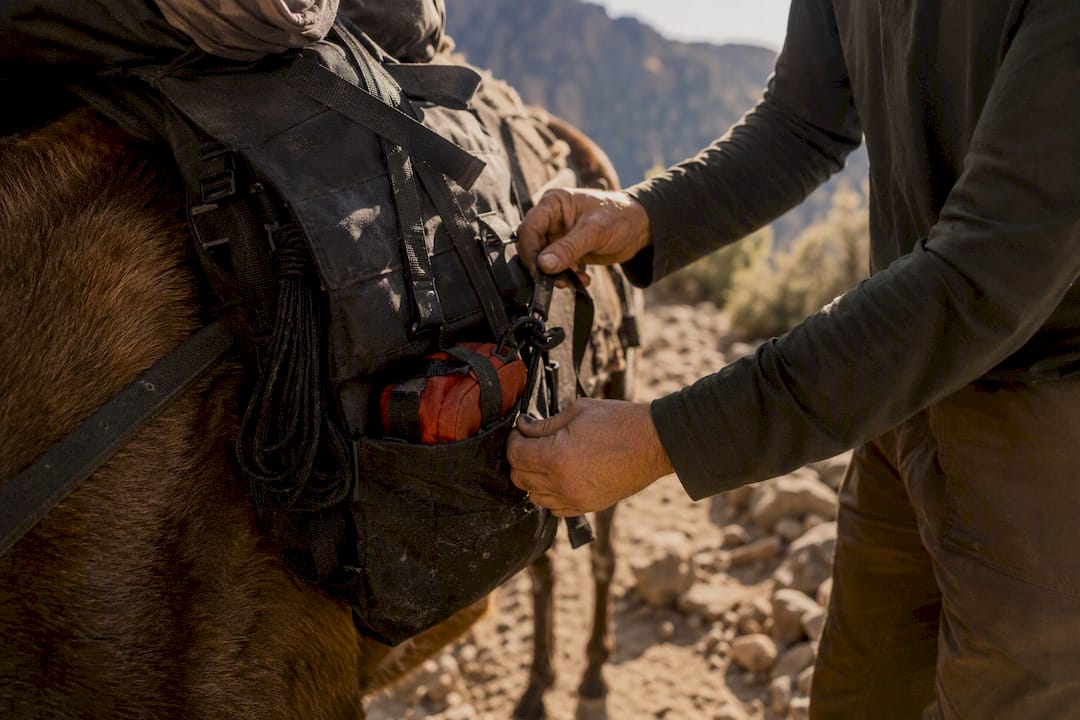 Hands adjusting water jug in pack saddle