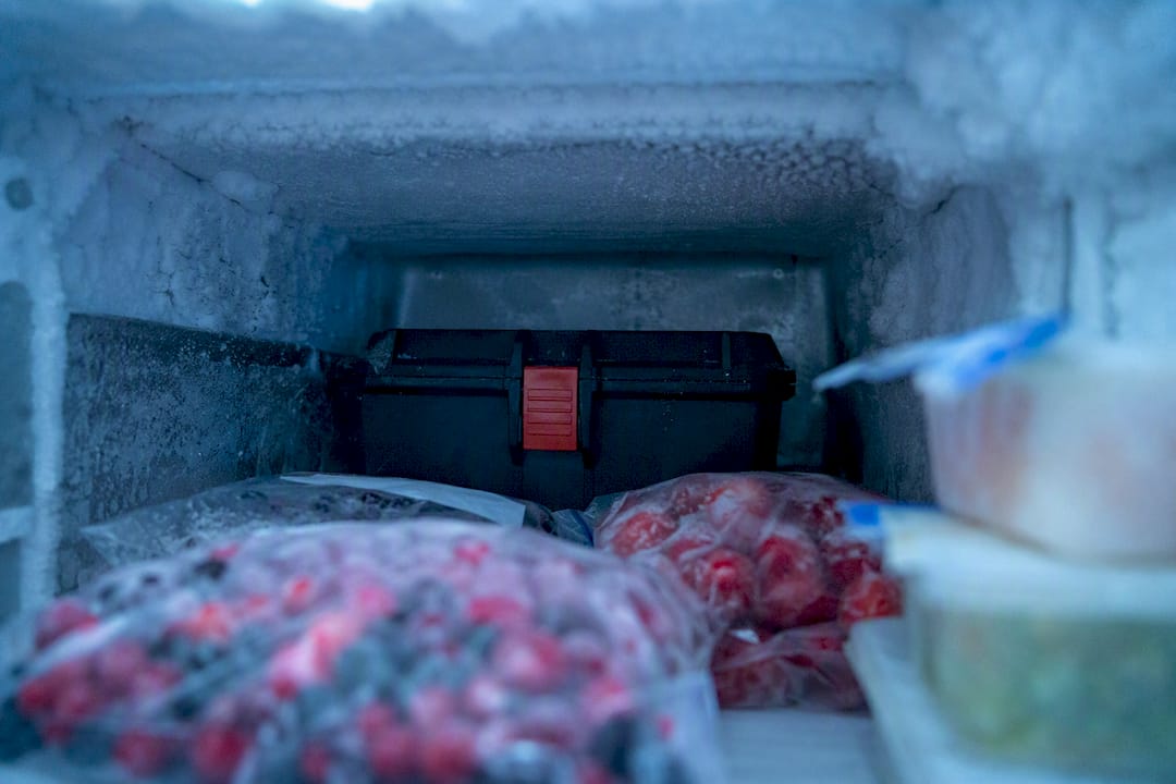 Seed storage container in freezer corner