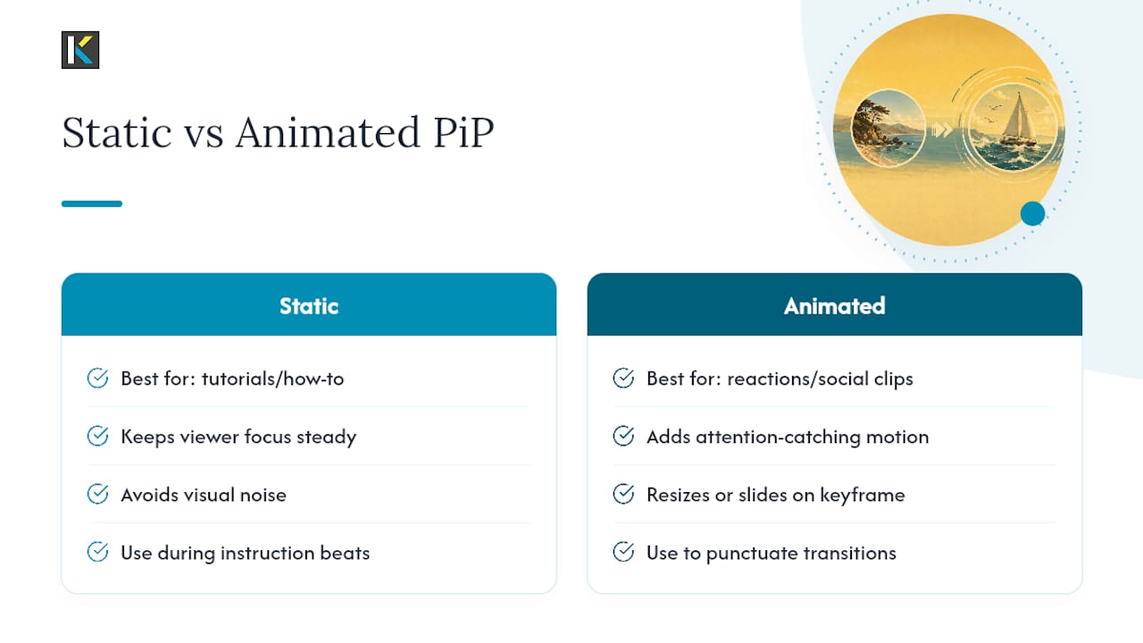 Should Your PiP Be Static or Animated? — overview diagram