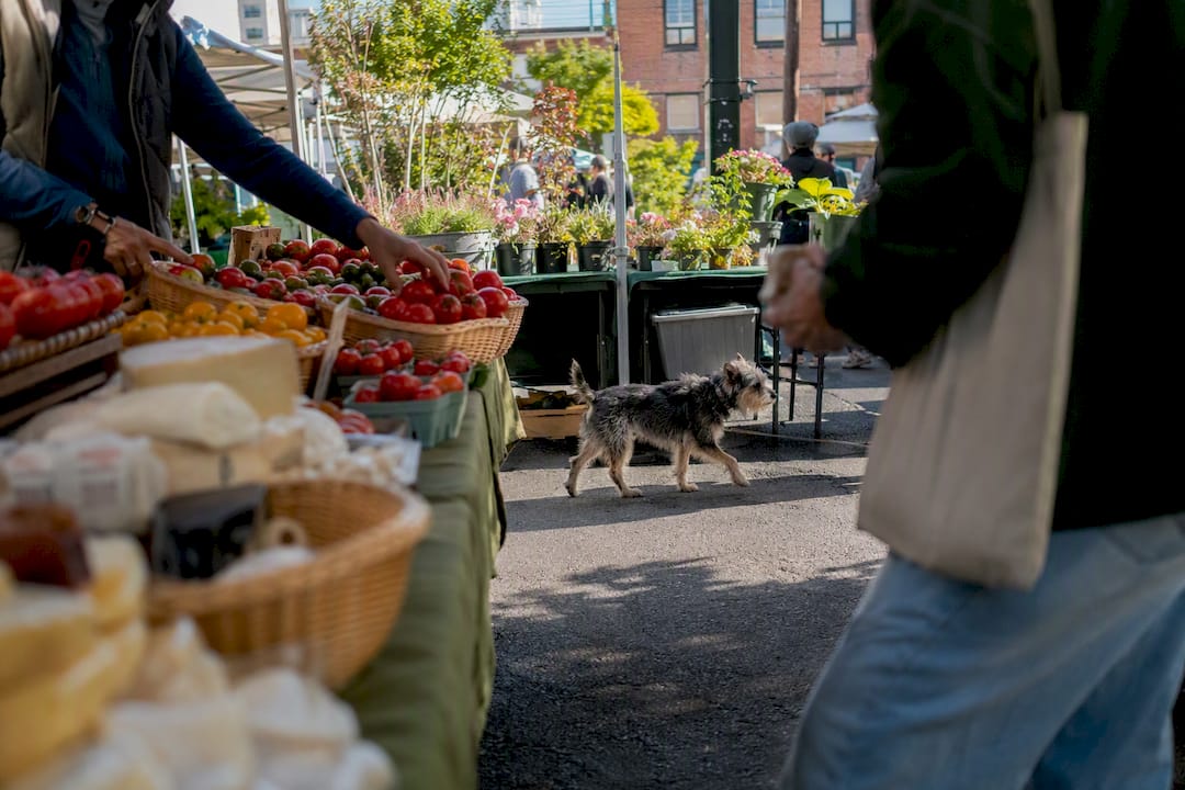 Produce baskets at Beacon Hill market