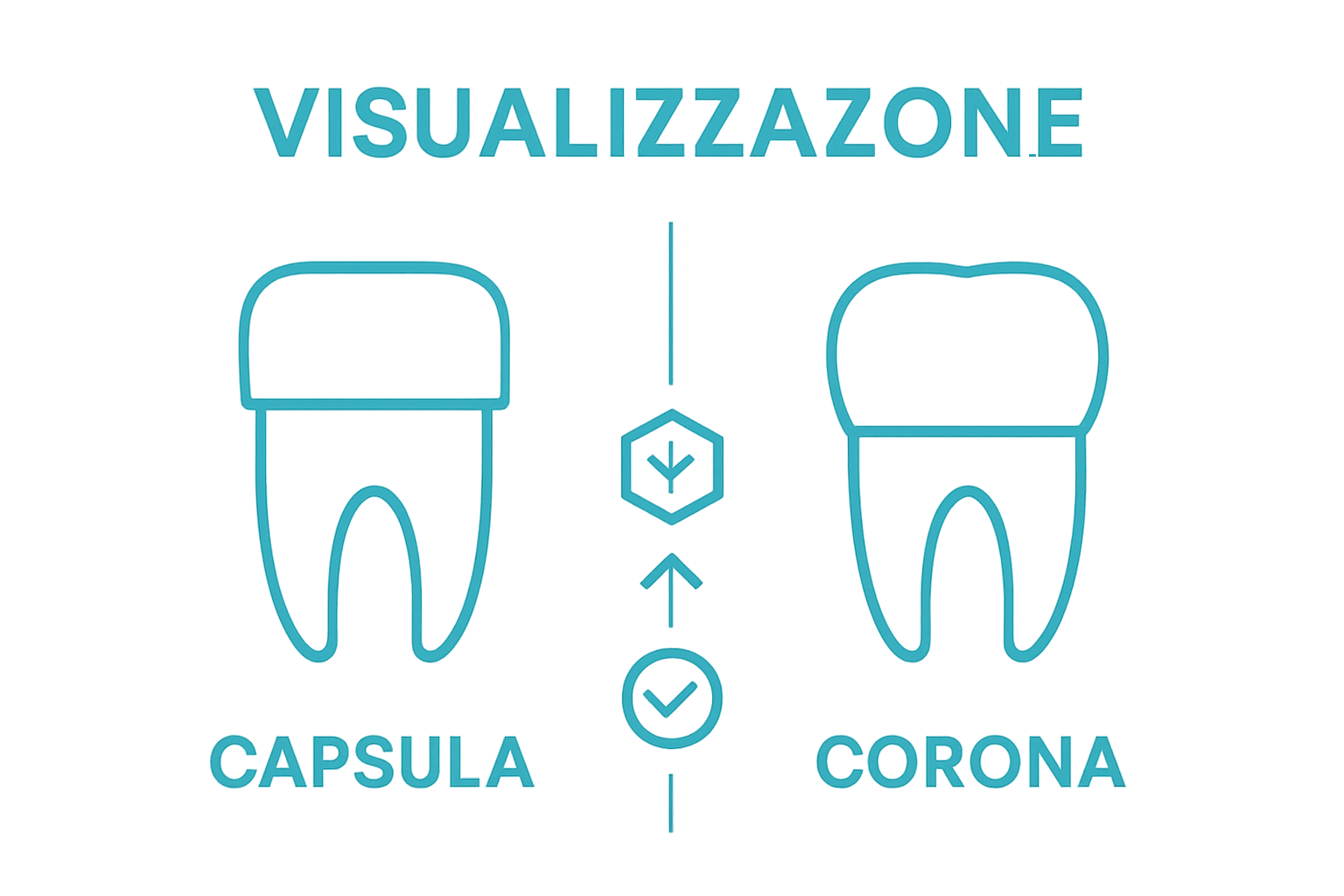 Infografica che confronta capsula e corona dentale con simboli semplici