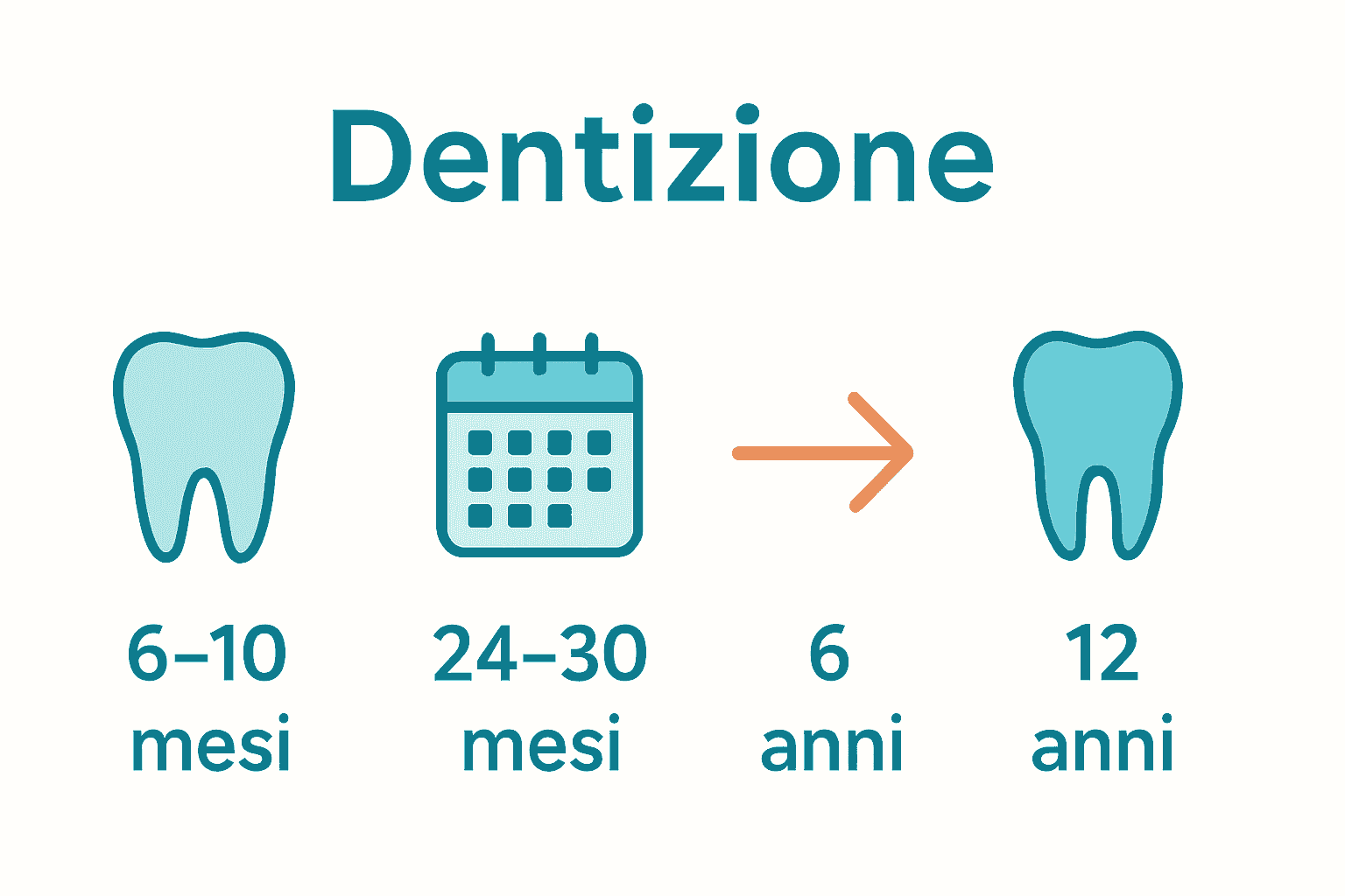 Infografica sulle fasi della dentizione nei bambini con icone e date