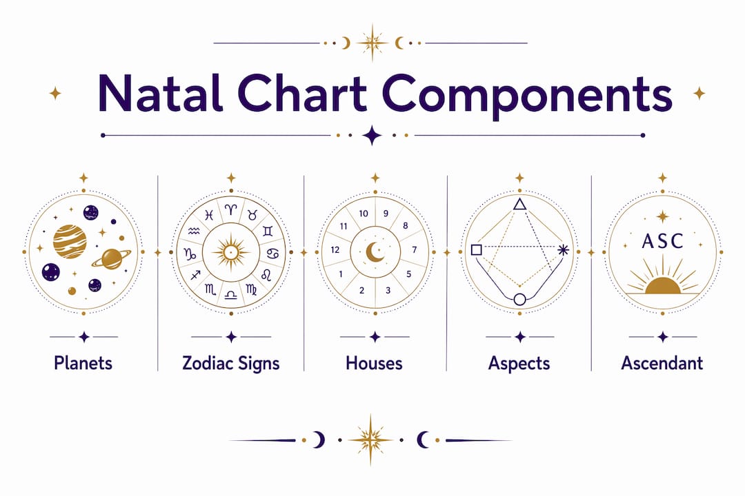 Infographic illustrating natal chart main components