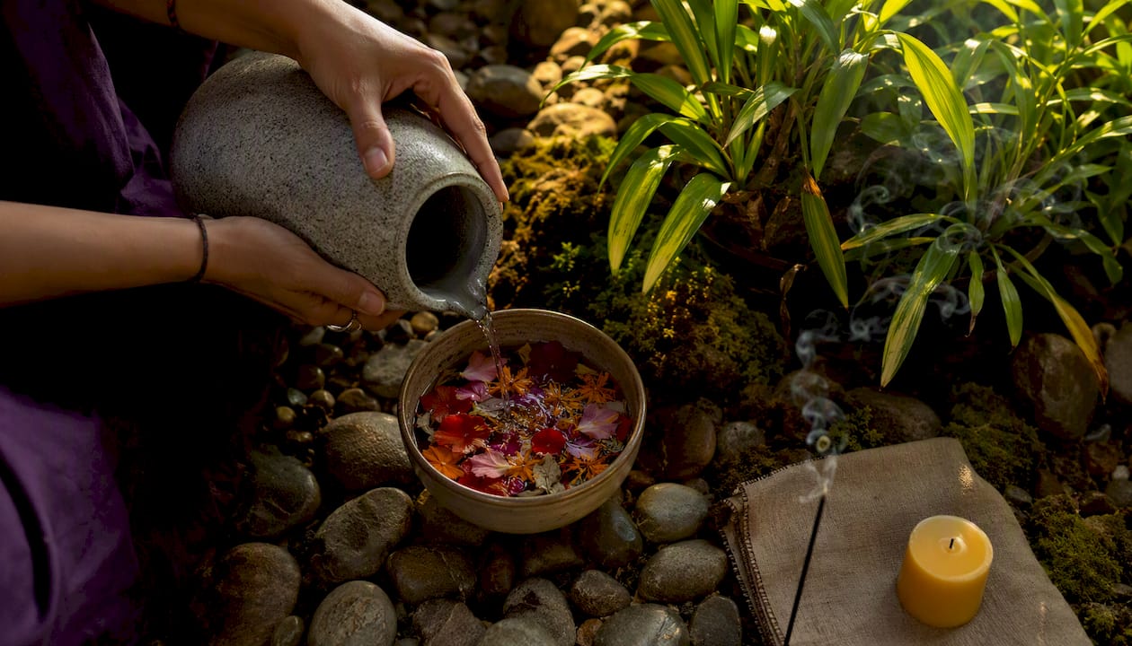 Hand placing water offering beside plant