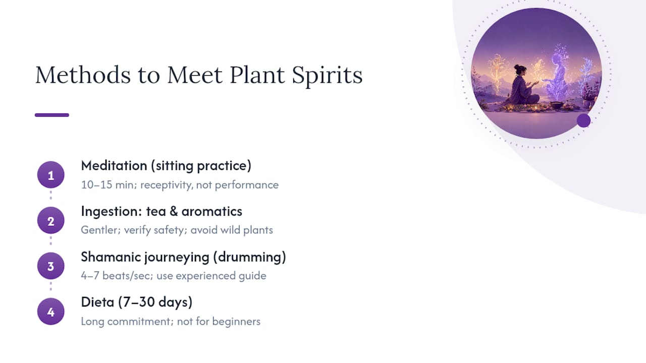 Diagram of methods to meet plant spirits