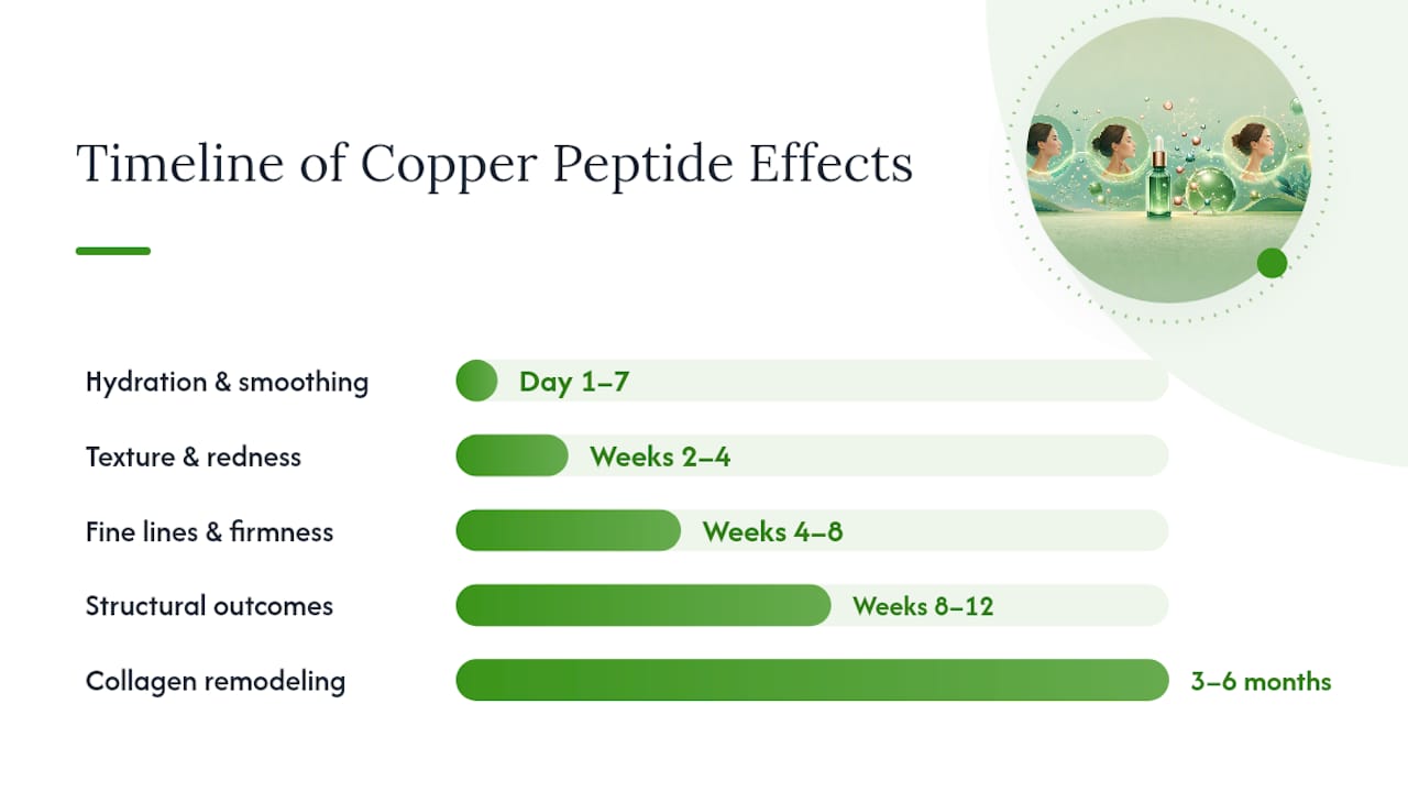 Copper peptide serum week-by-week results timeline