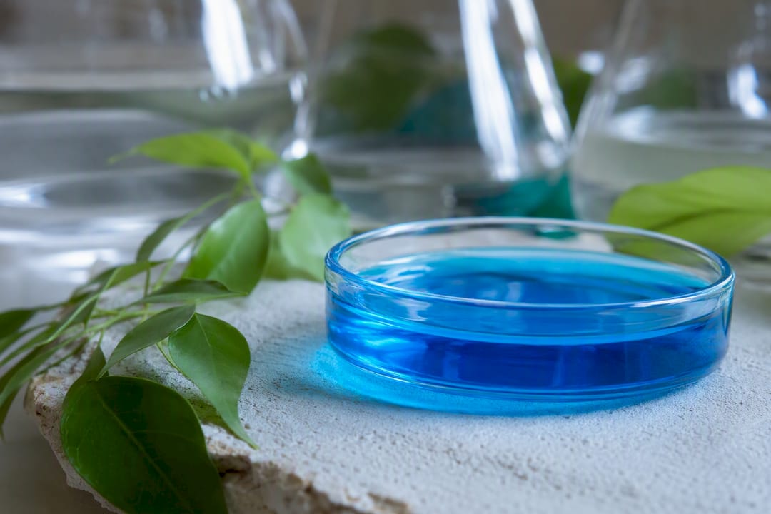 Blue copper ion liquid in glass dish