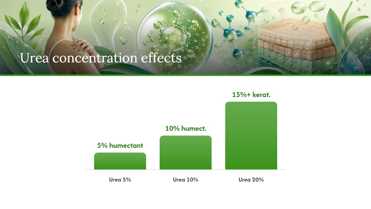 How Urea and Hyaluronic Acid Actually Work on Skin — overview diagram