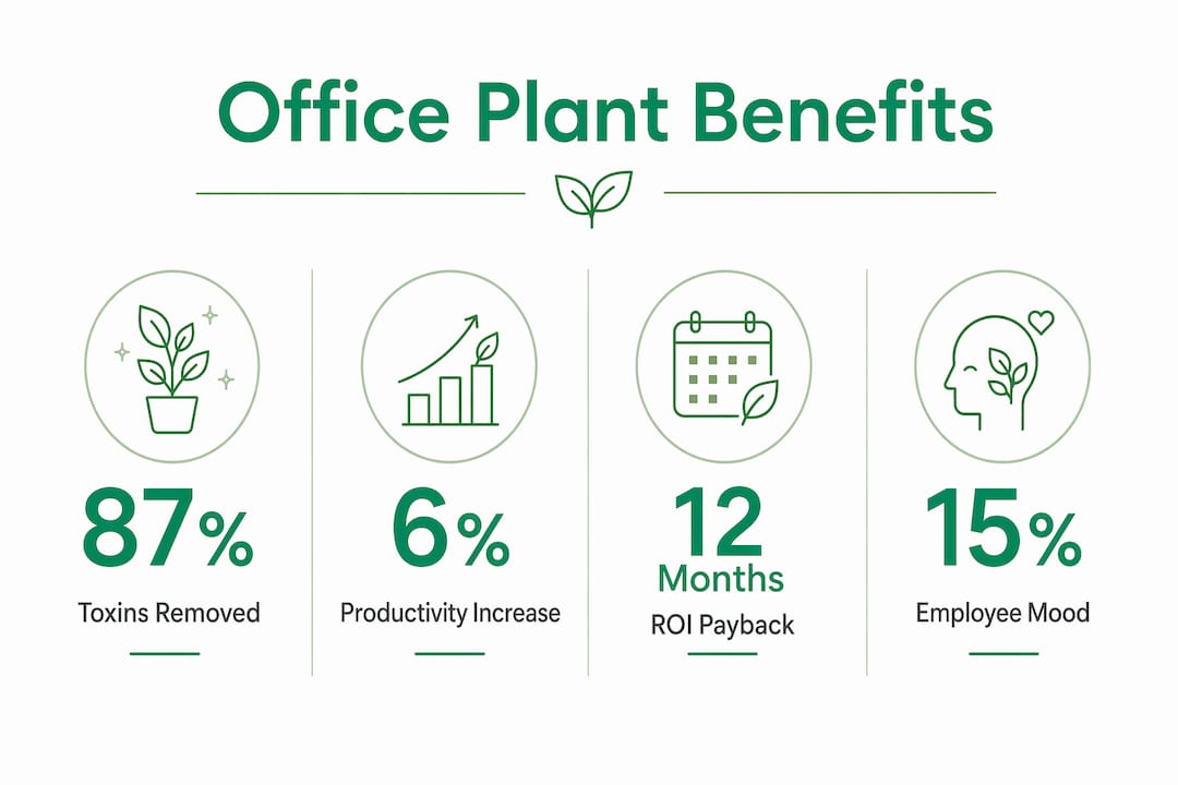 Infographic highlighting key office plant statistics