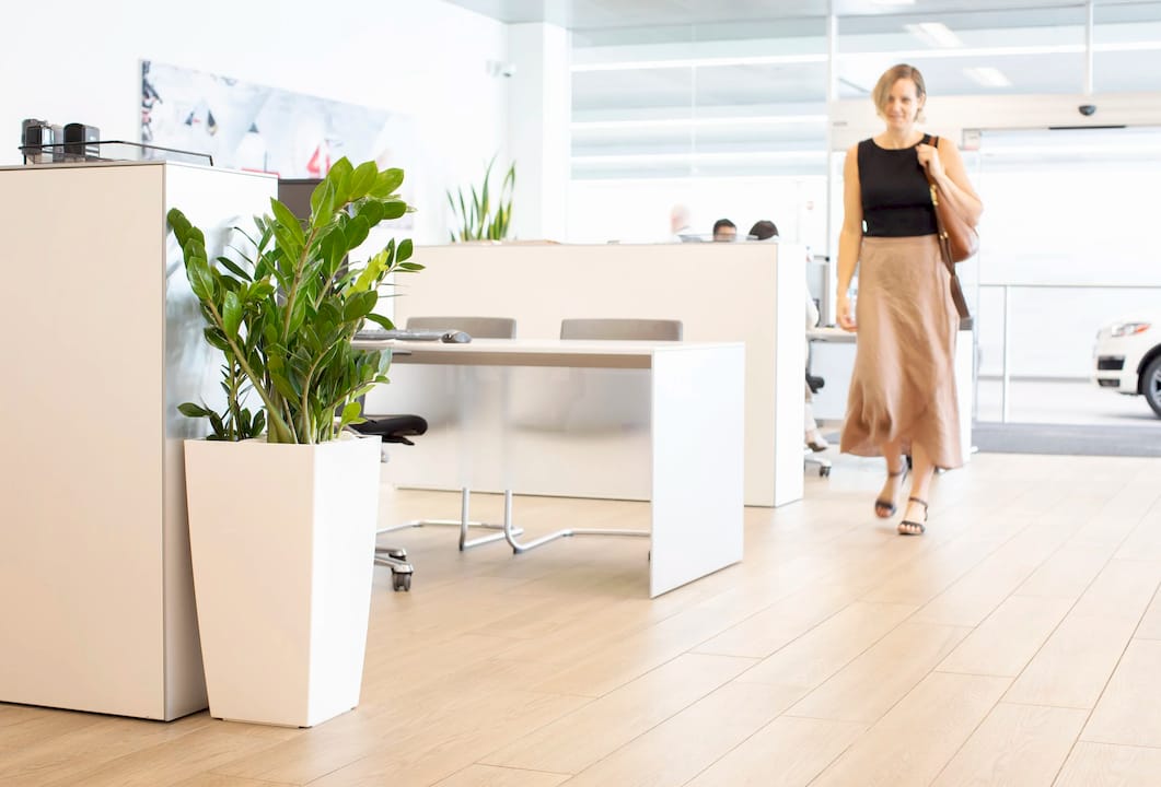 Hands arranging office desk plants