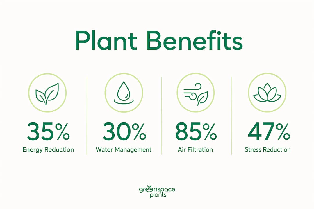 Infographic showing environmental benefits of plants with key statistics