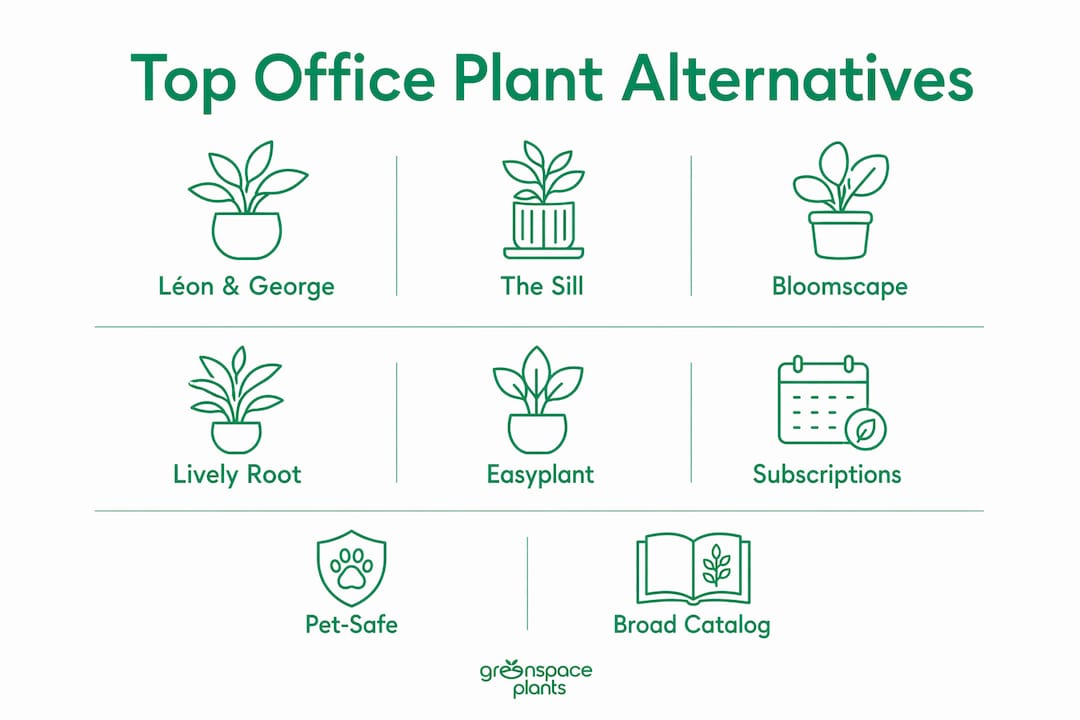 Infographic showing ranked office plant service alternatives