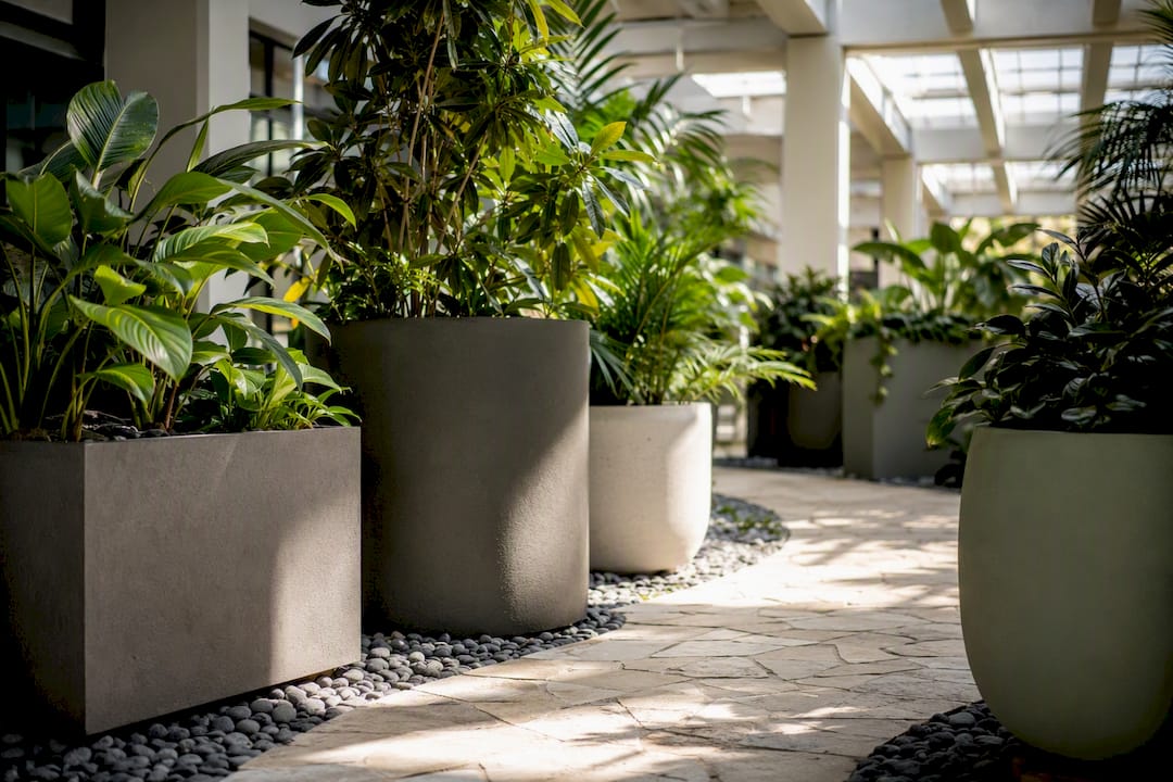Varied commercial planters in modern lobby space